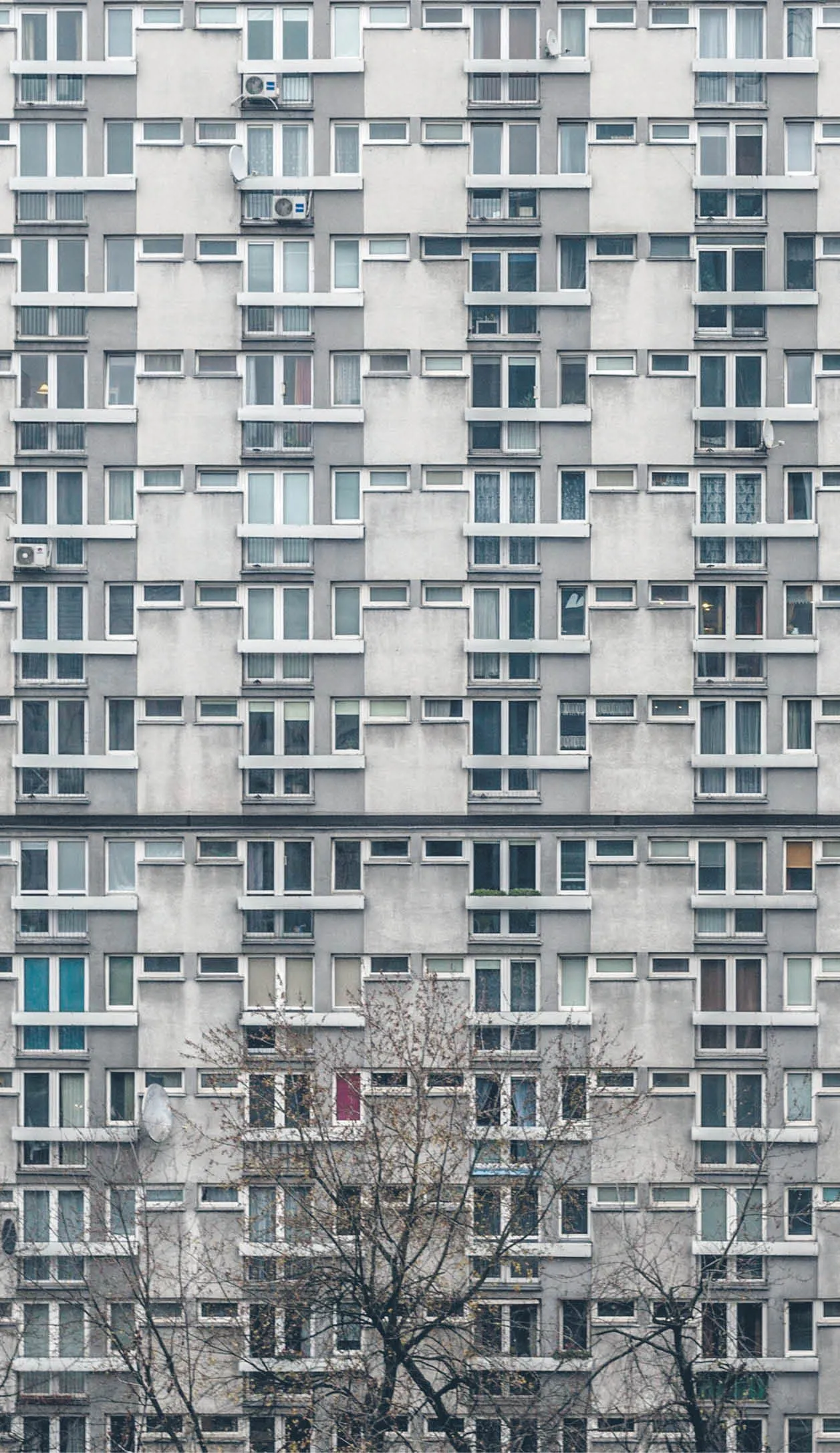 Pan na spółdzielni