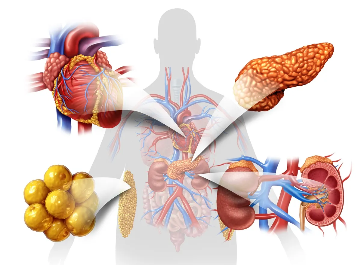 Zespół sercowo – nerkowo – metaboliczny - jak zwiększyć świadomość, wcześnie wykrywać i skutecznie leczyć?