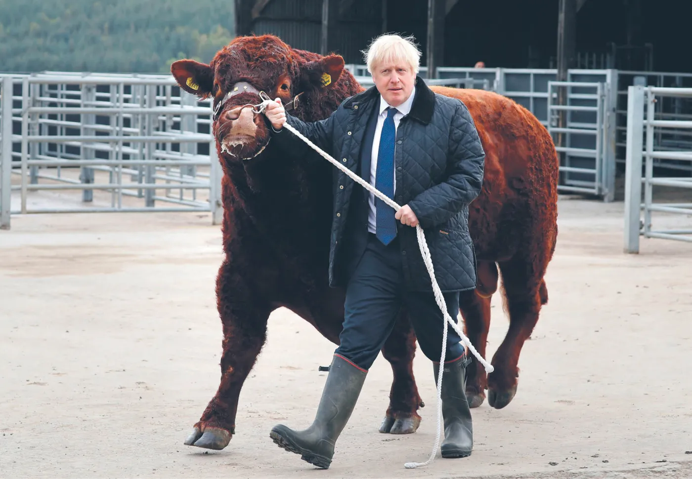 Tak czy siak, wychodzimy pod koniec października
