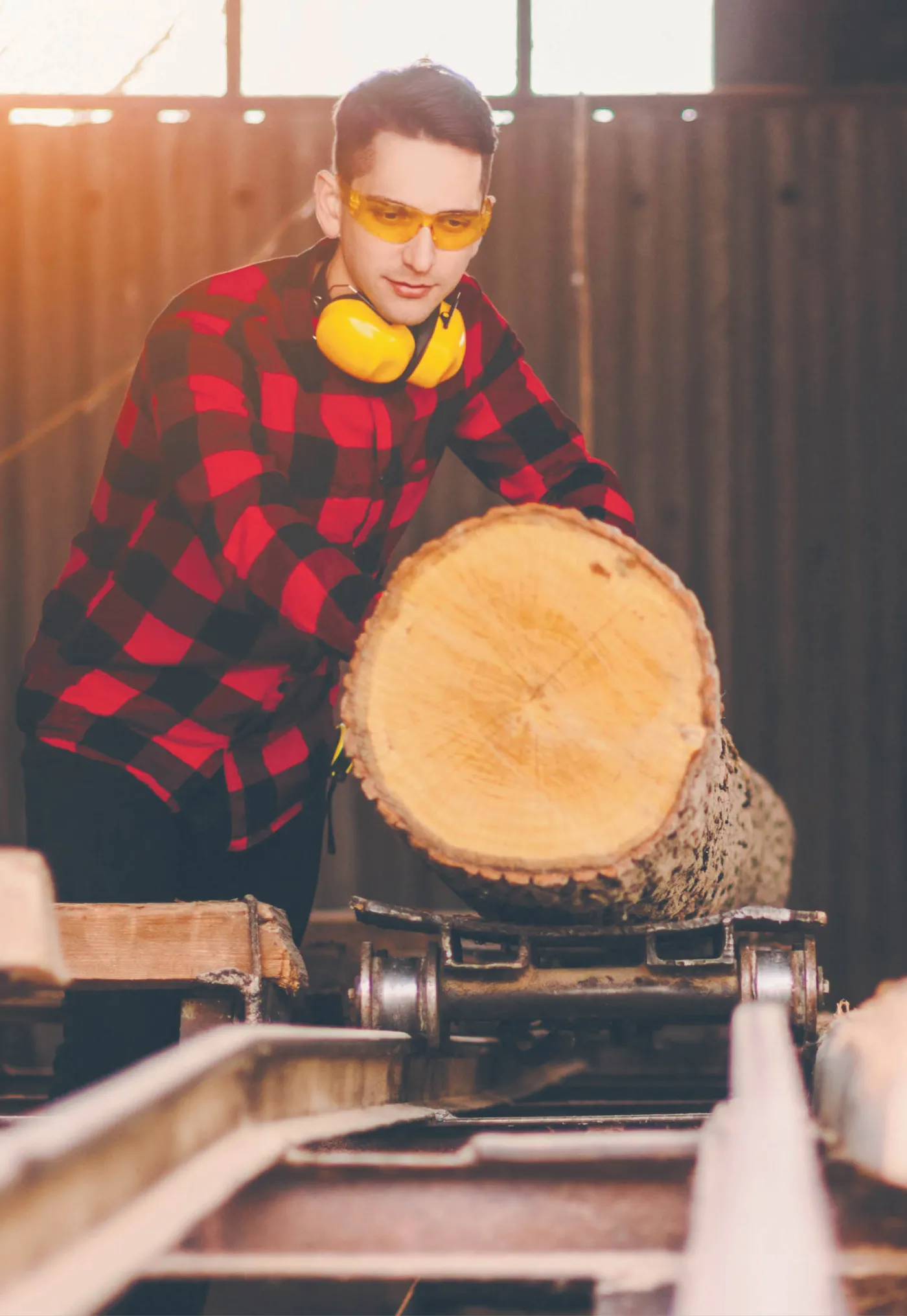 Tarcza antykryzysowa pozwoli branży drzewnej złapać oddech