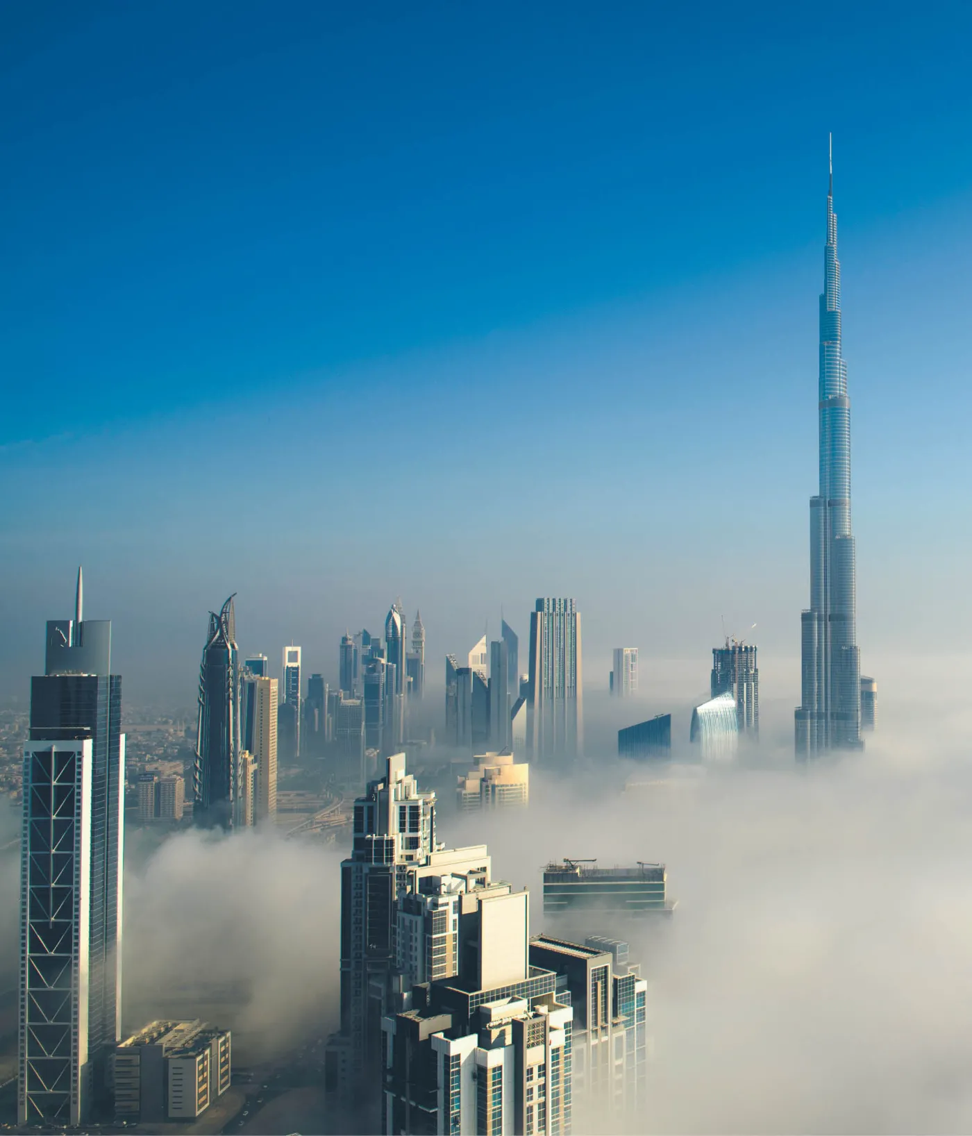 Gulf of Opportunities