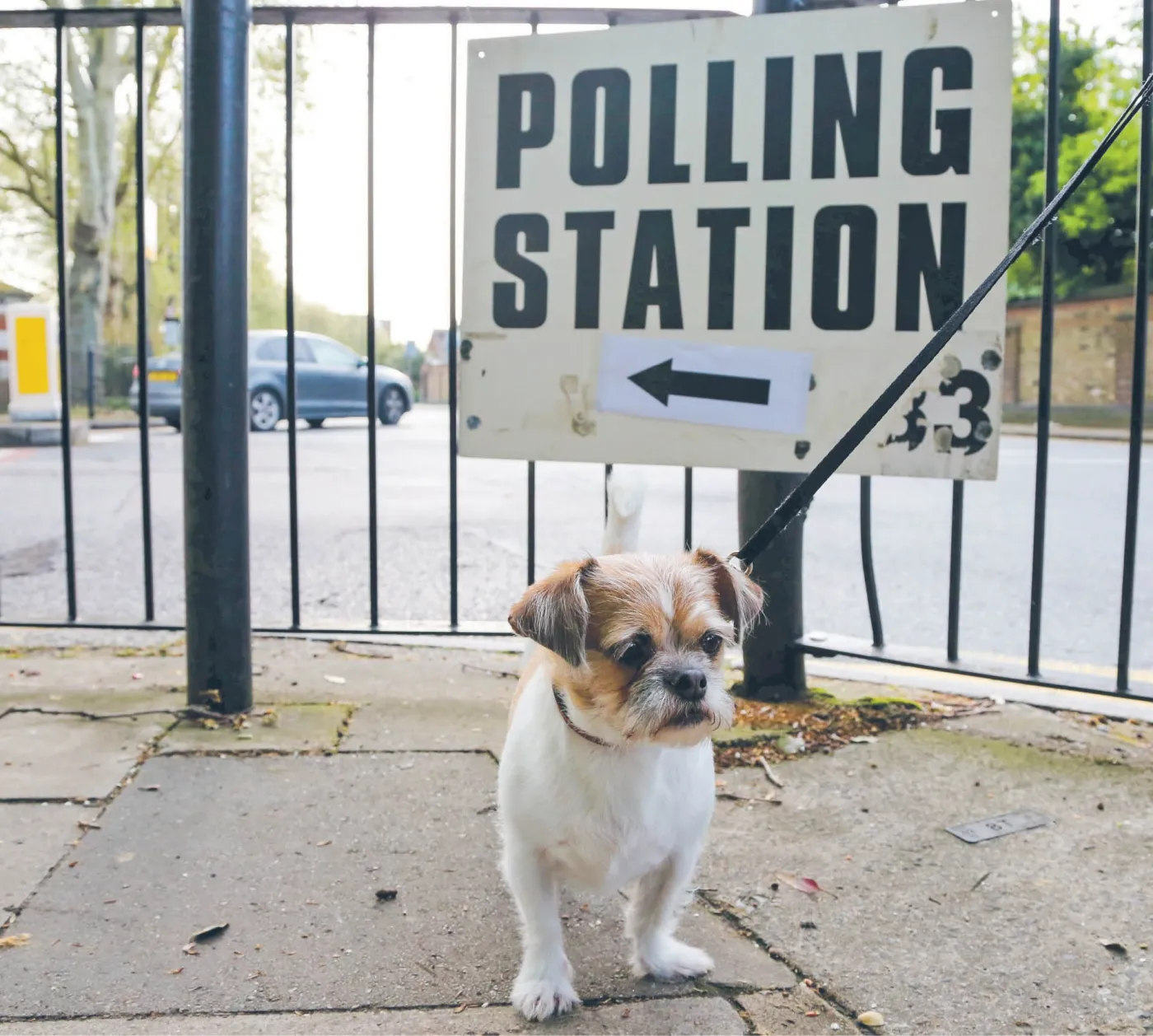 Premier oberwie za brak brexitu