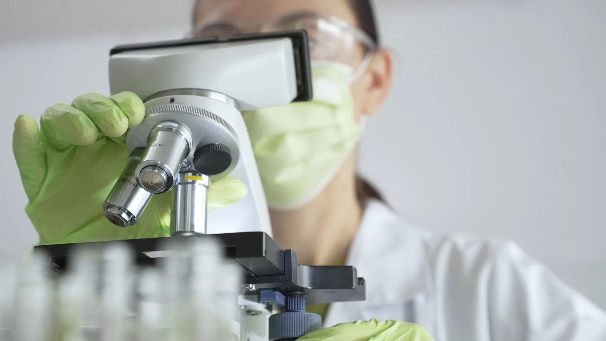 Przełom w biologii. Nowy gatunek pobił rekord, który ustanowiono dziesiątki lat temu