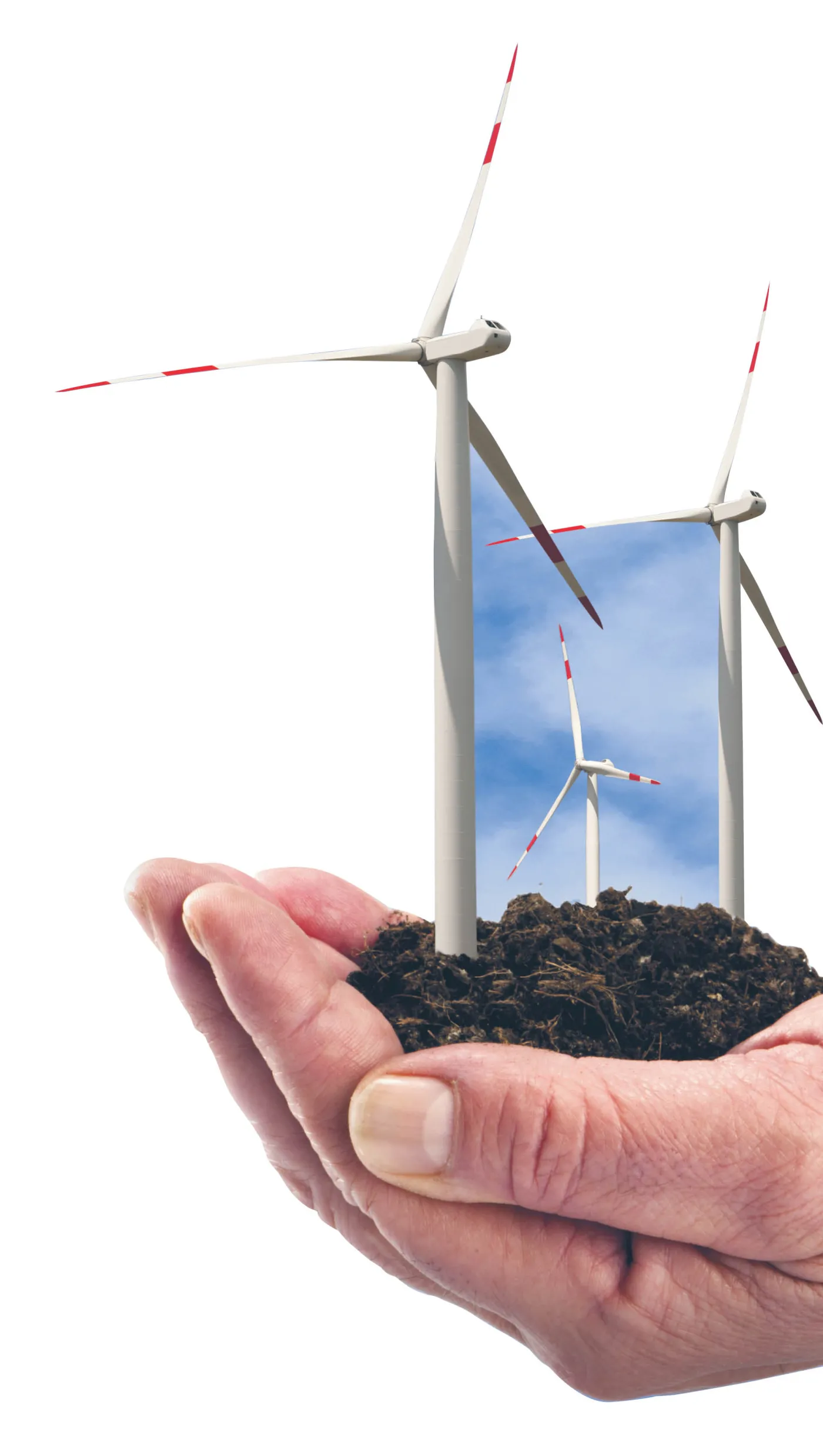 Dynamiczny rozwój z pomocą sił natury