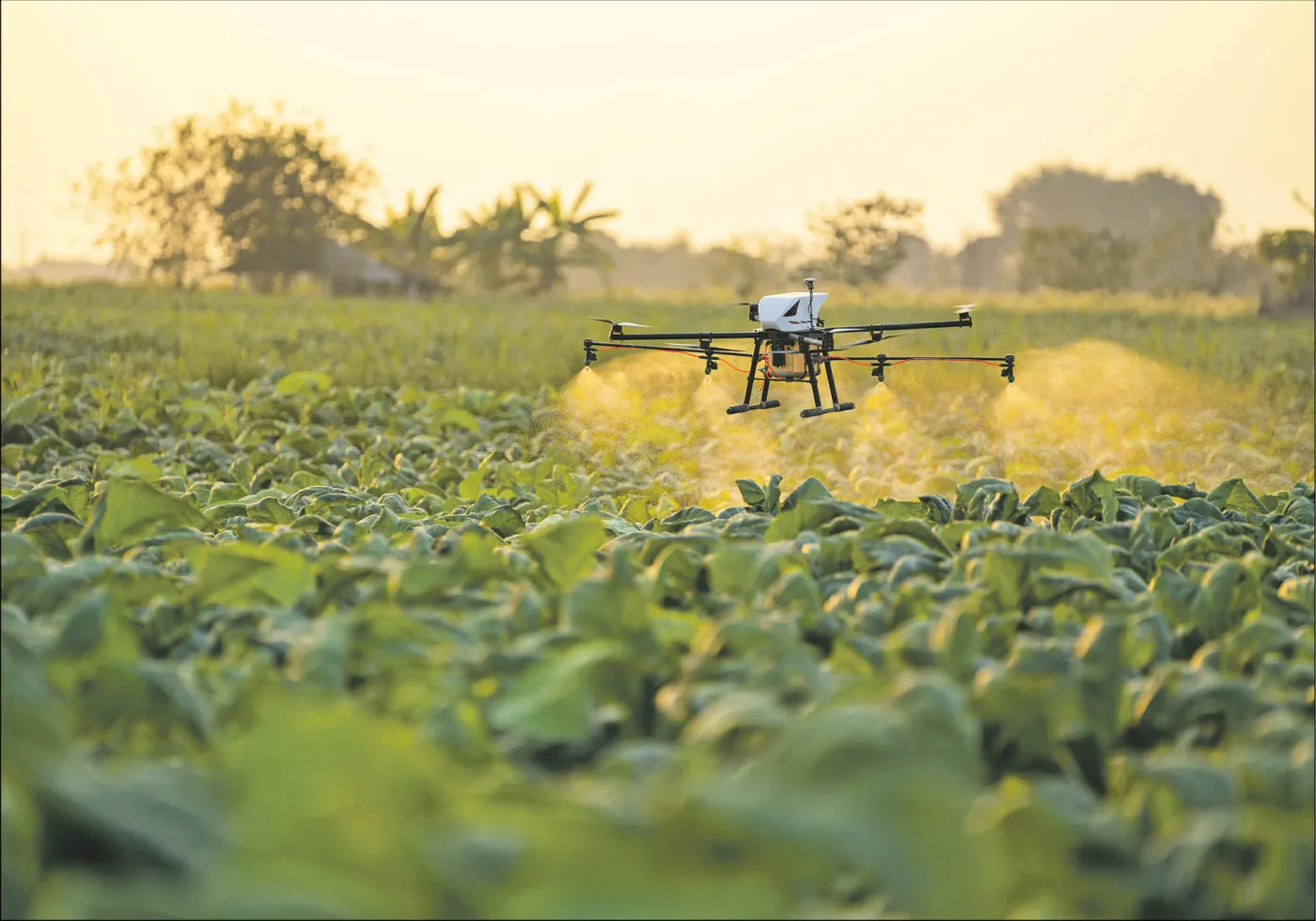 Drony nad polskimi polami. Ministerstwo zmienia przepisy