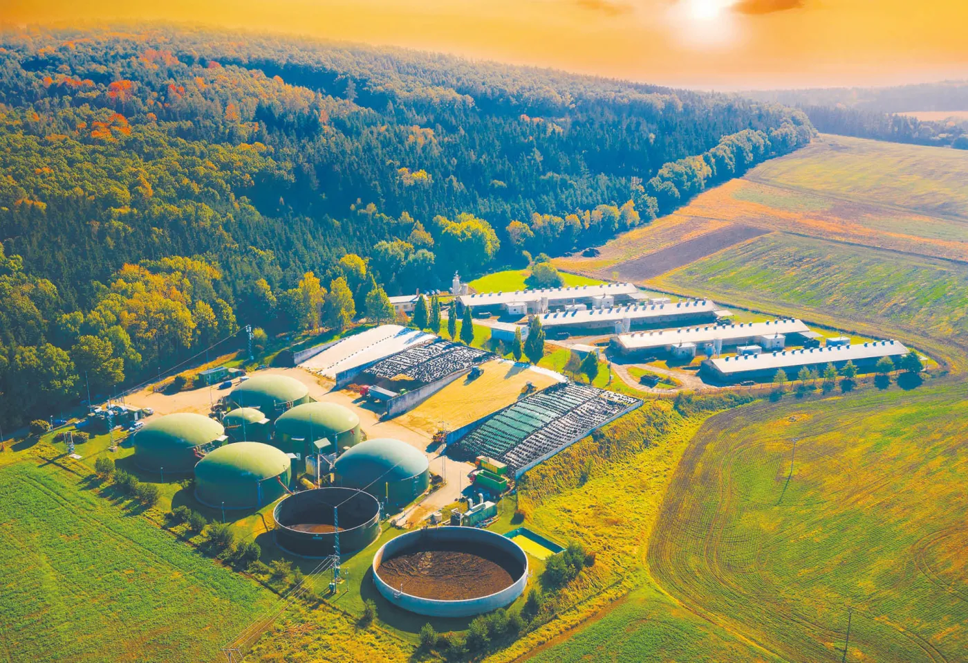 Poland Cannot Afford to Miss Out on Green Technology