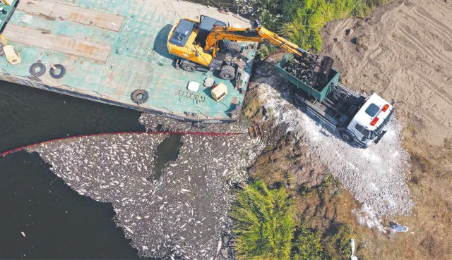 Obowiązujące przepisy nie chronią Odry. Czy jej stan się poprawi, gdy będzie osobą prawną?