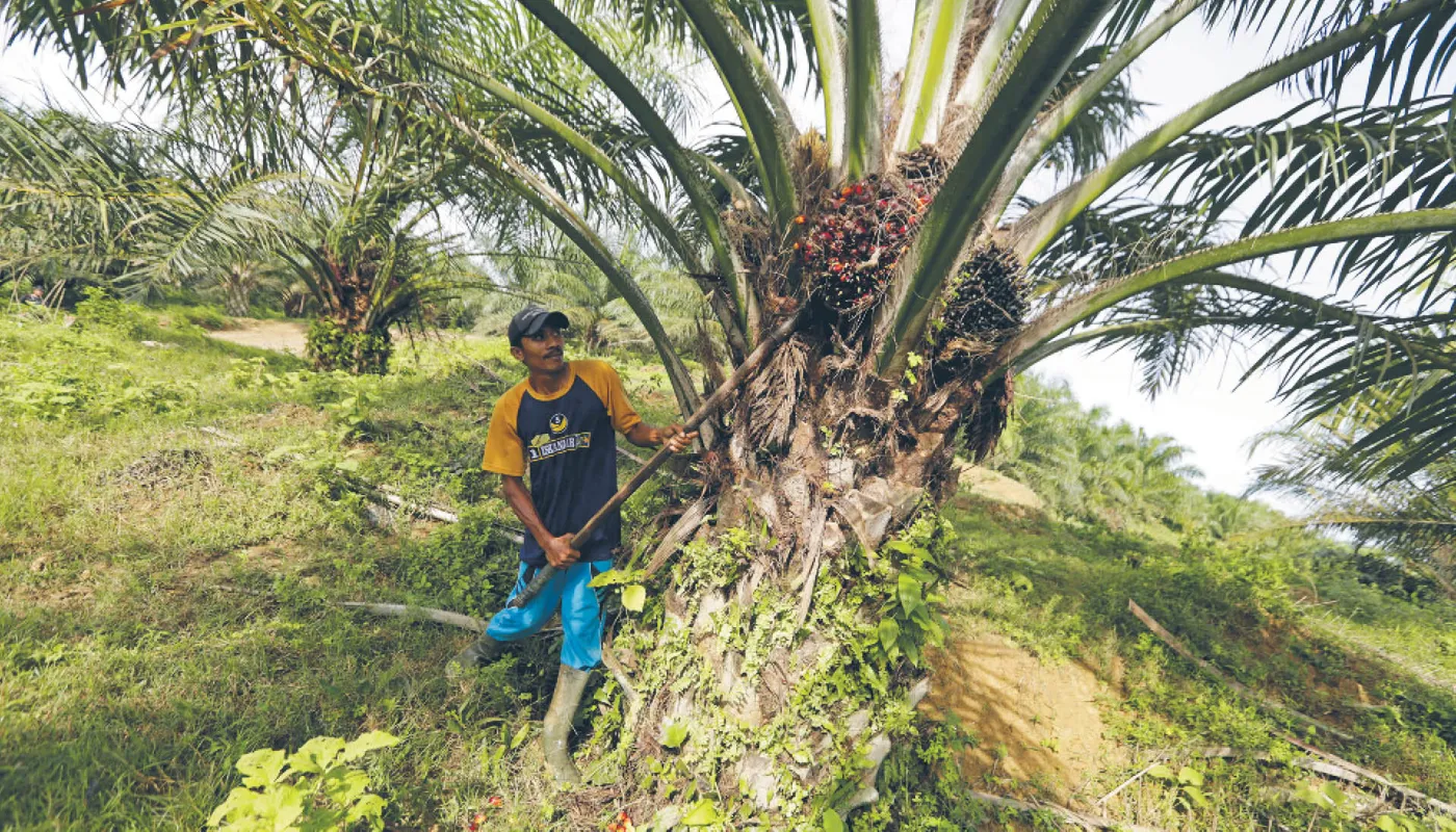 Lekarstwo bywa gorsze od choroby