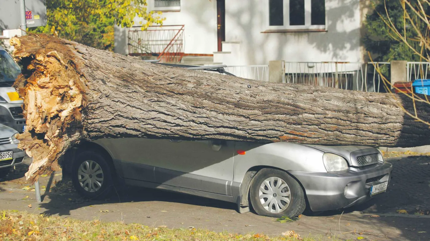 Natura wystawia słony rachunek ubezpieczycielom