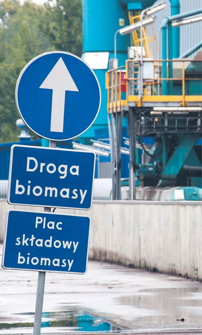 Nie wolno palić drewna. Można je wykorzystać znacznie lepiej