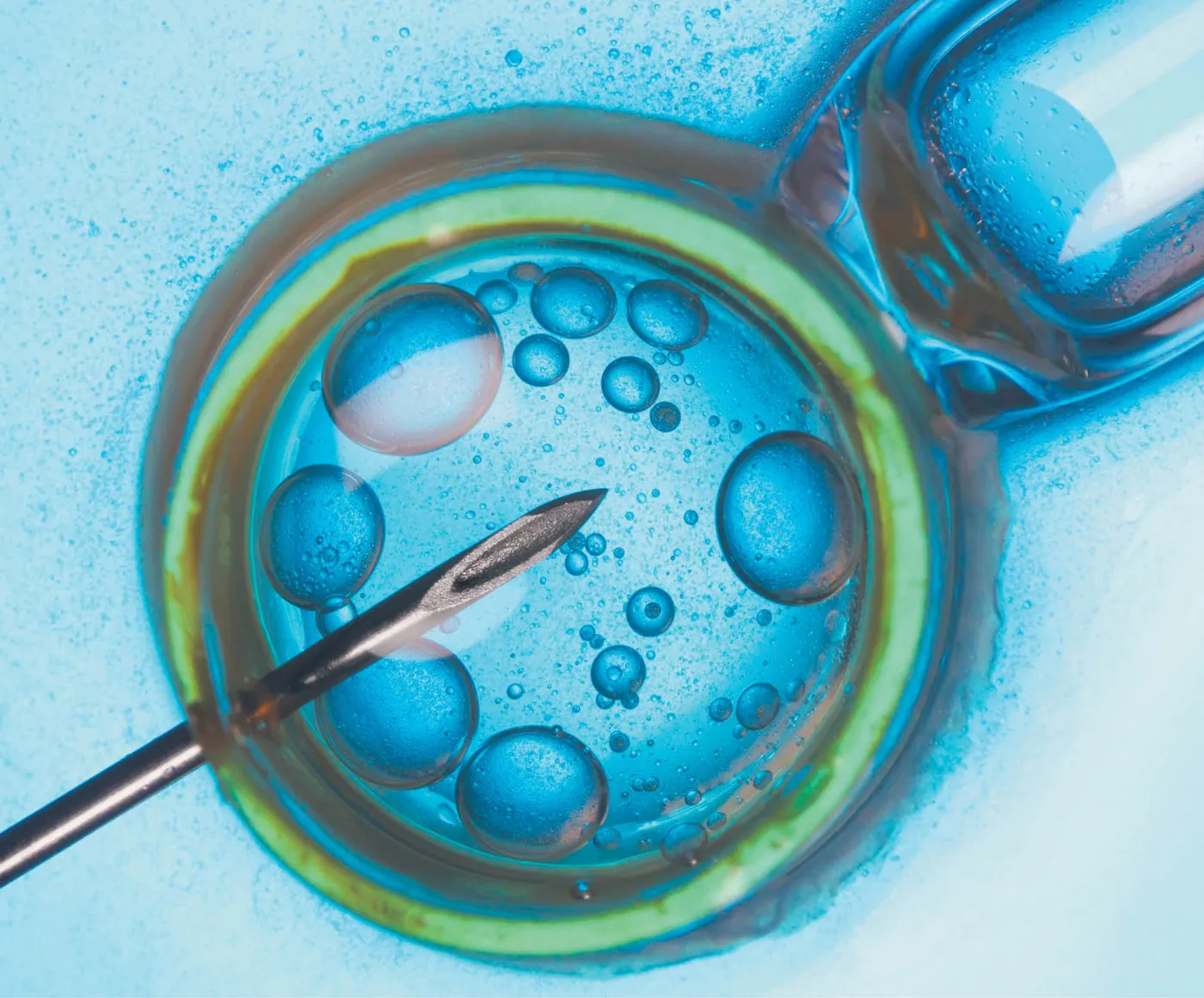 Zarodki podwójnie zamrożone