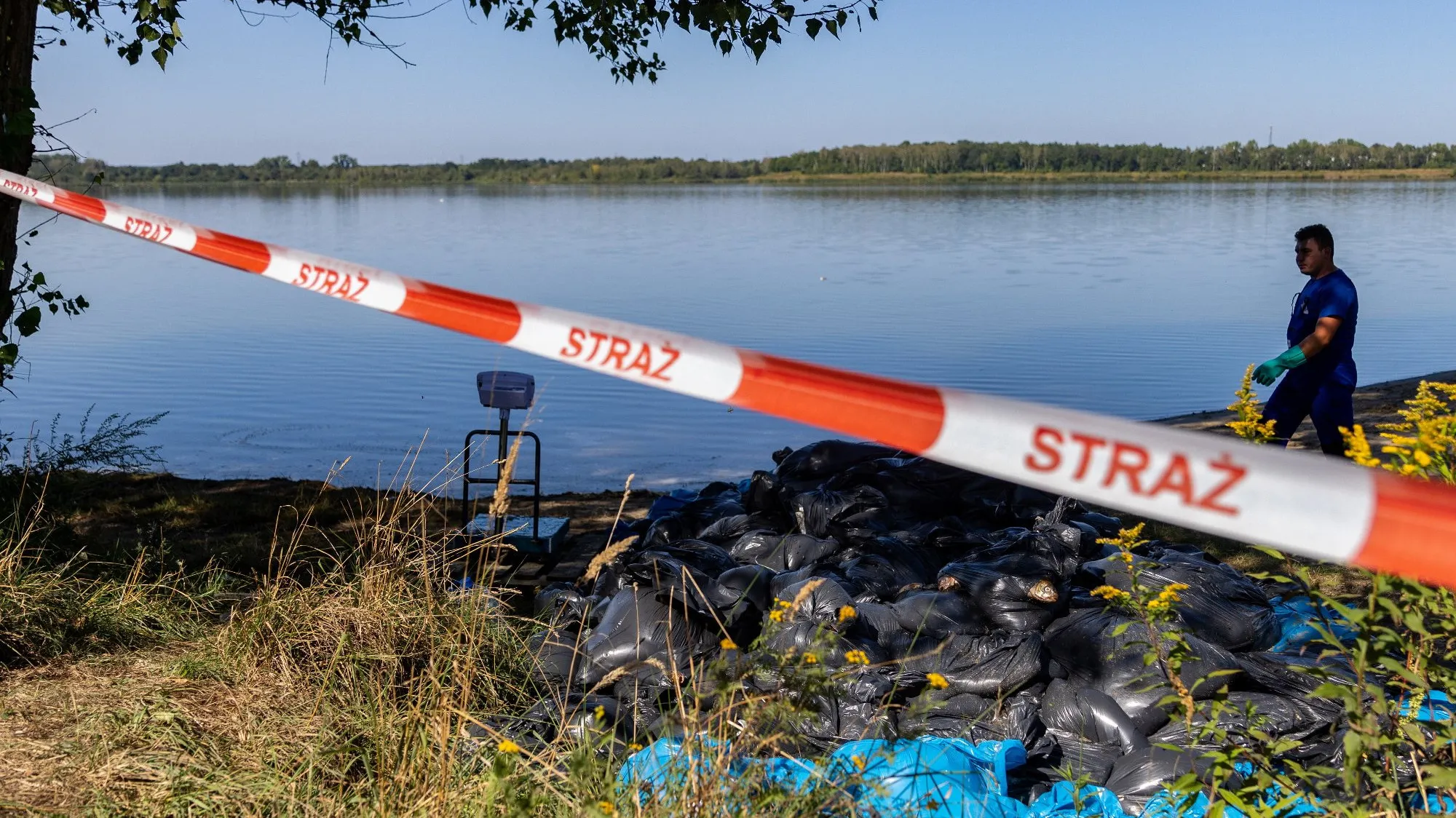 157 kg śniętych ryb na Śląsku. Widmo katastrofy ekologicznej z 2022 r. znów niepokoi