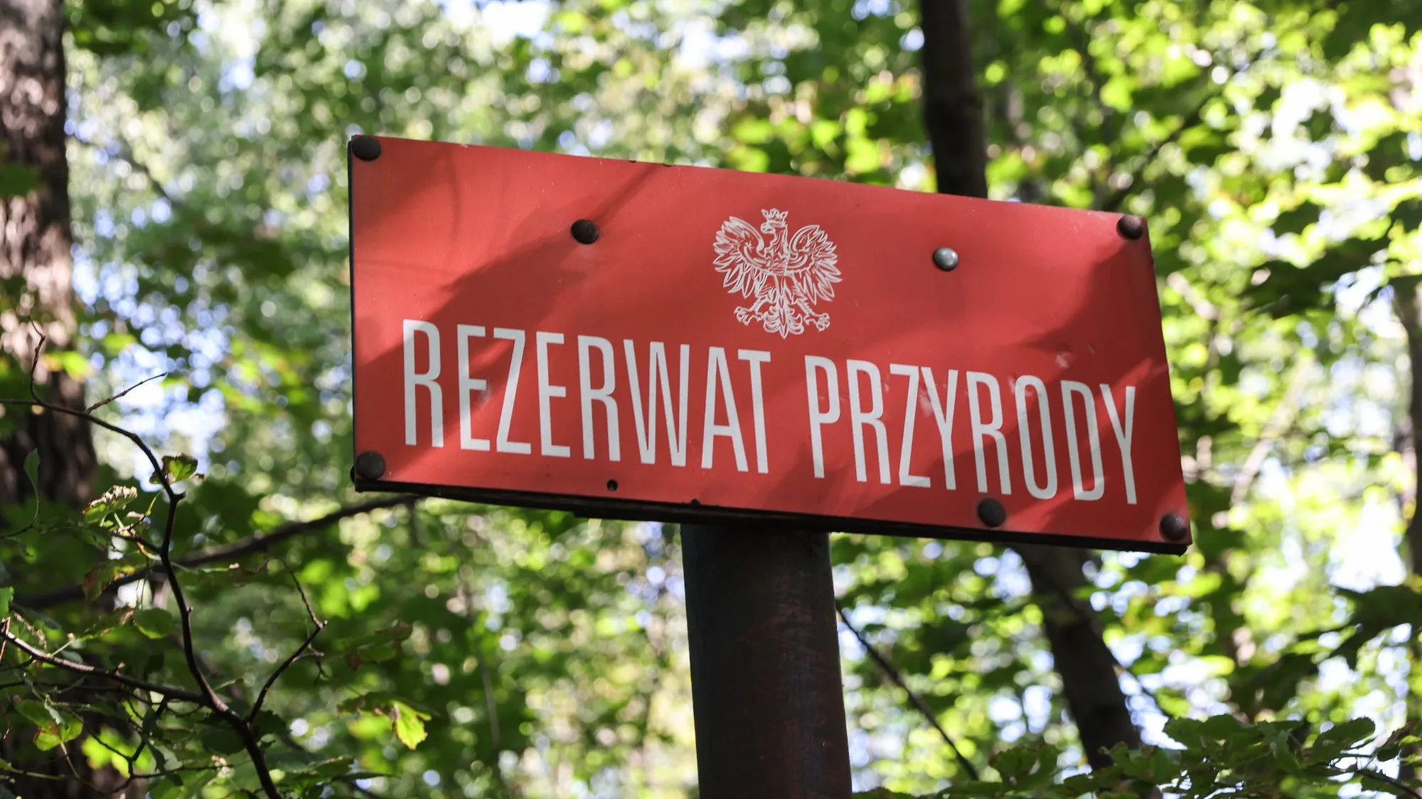 Nowe rezerwaty przyrody w Polsce: Dolina Sztoły i Januszkowa Góra [SZLAKI, ZASADY]