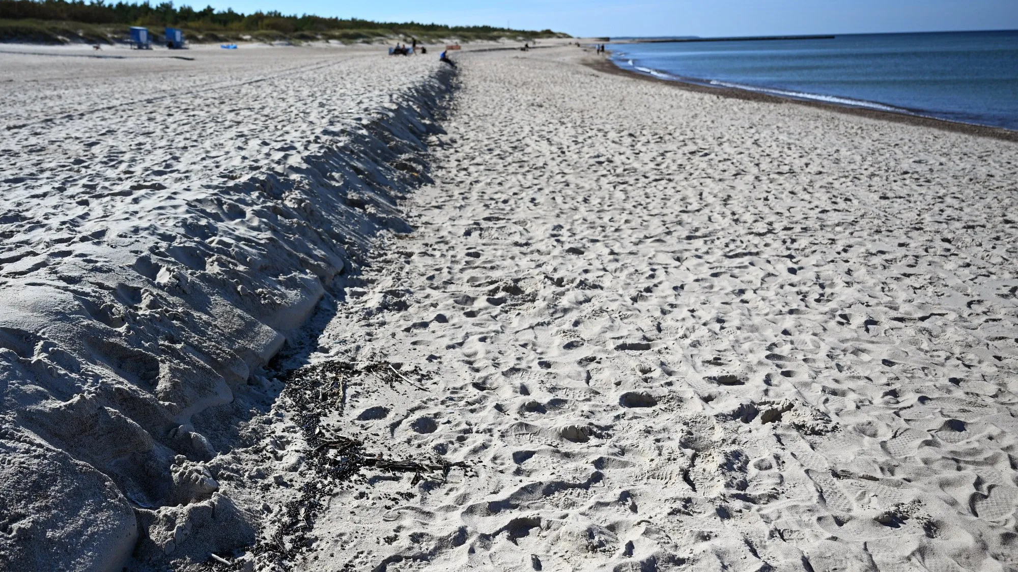 Czarne grudki na plażach w Ustce i okolicach. Urząd Morski bada próbki ropopochodnej substancji