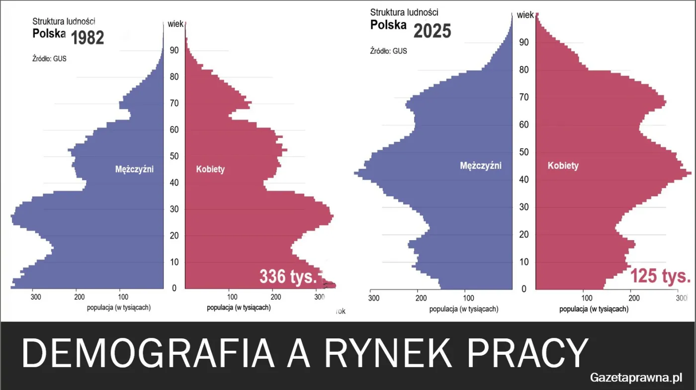 Demografia a rynek pracy w Polsce - porównanie piramid wiekowych w 1982 i 2025 - opracowanie własne (Dane GUS)