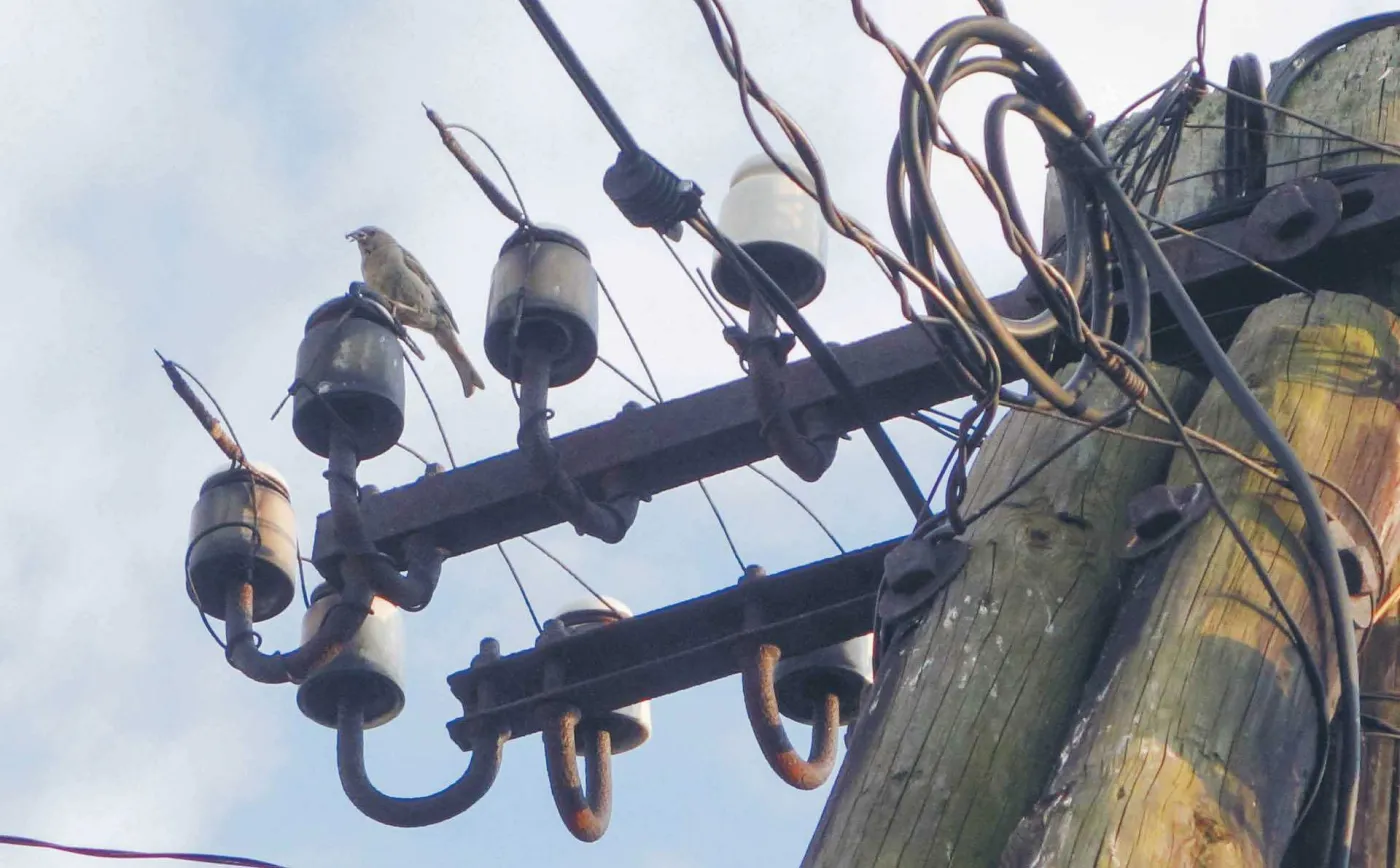 Bruksela: nie odpowiadamy za ceny energii elektrycznej