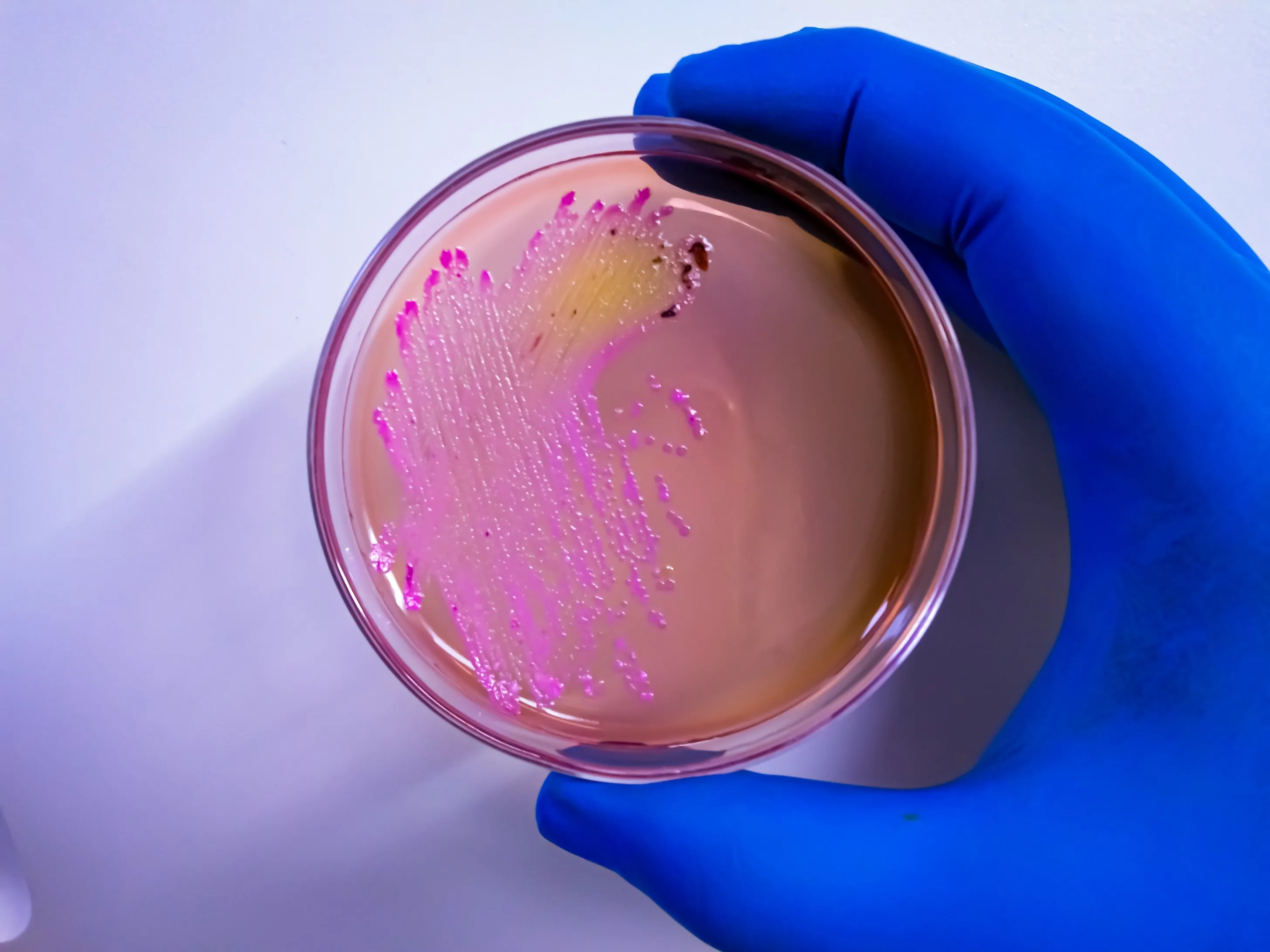 Badaczka wykradła groźne wirusy z laboratorium