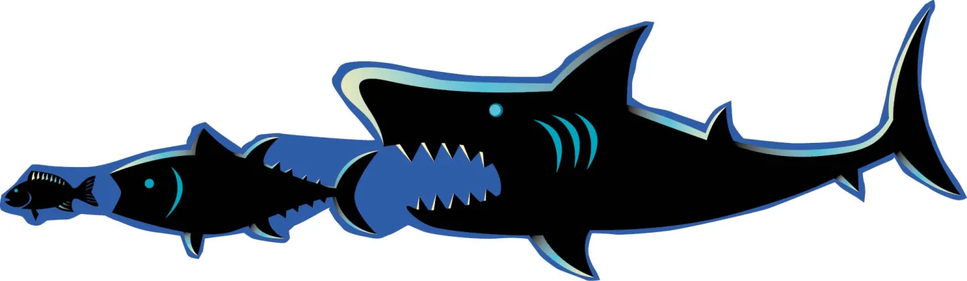 Akcje dla płotek finansjery