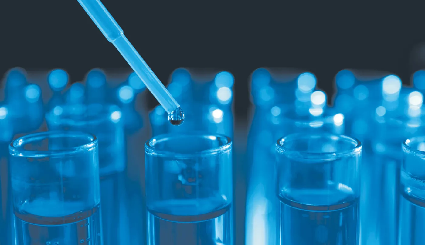 Such an Opportunity May Never Come Again