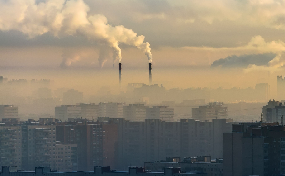 Zanieczyszczone powietrze szkodzi nie tylko płucom. Smog może przyspieszać starzenie się mózgu
