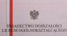 Minister edukacji broni czerwonego paska na świadectwach szkolnych