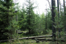 Reforma przepisów dotyczących ochrony przyrody - nowe zasady dla parków, monitoringu, sprawozdawczości, kontroli i egzekwowania przepisów