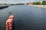 Pierwszy stopień zagrożenia w związku z występowaniem „złotej algi” w Odrze